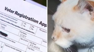 米国では12年以上前に死んだ飼い猫に有権者登録用紙が郵送される